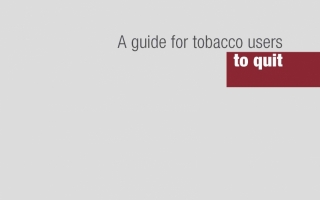 Tài liệu: A guide for tobacco users to quit (Nguồn: World Health Organization)